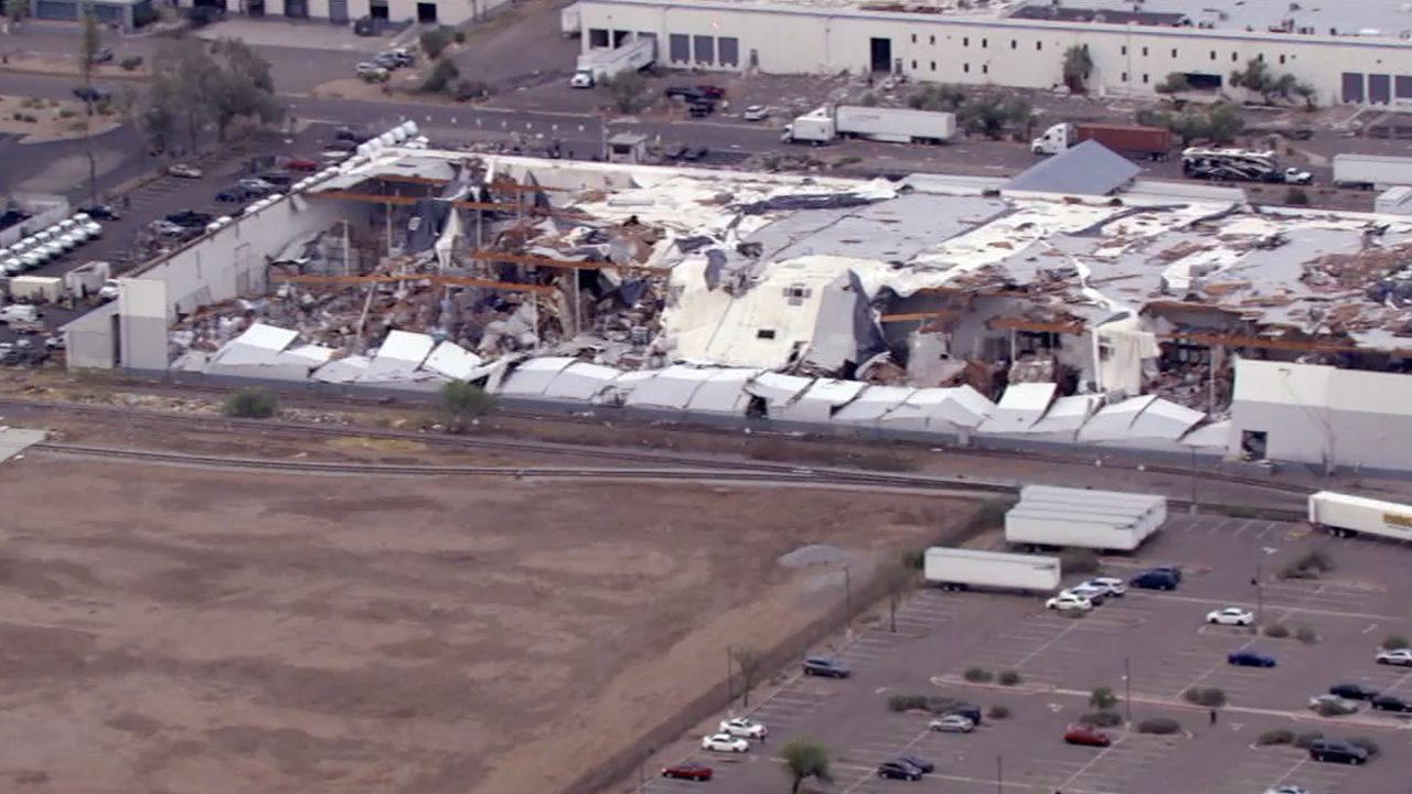 Rising from the Rubble Building Collapsed Phoenix Survival and Recovery