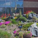 gardening in the rocky mountain foothills in october