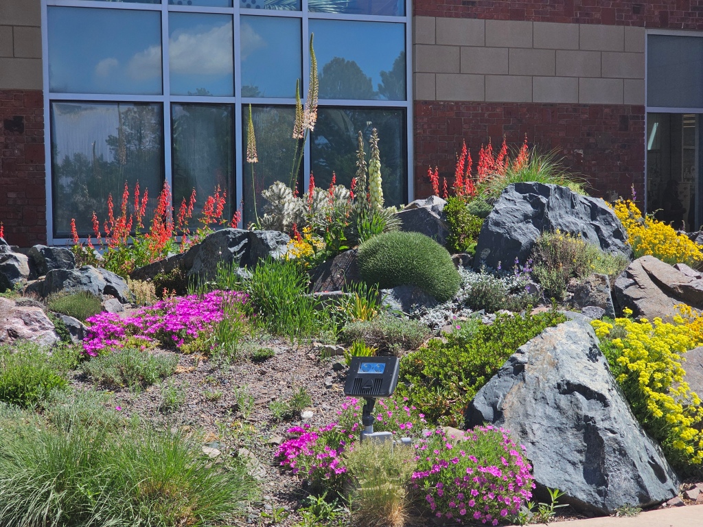 gardening in the rocky mountain foothills in october